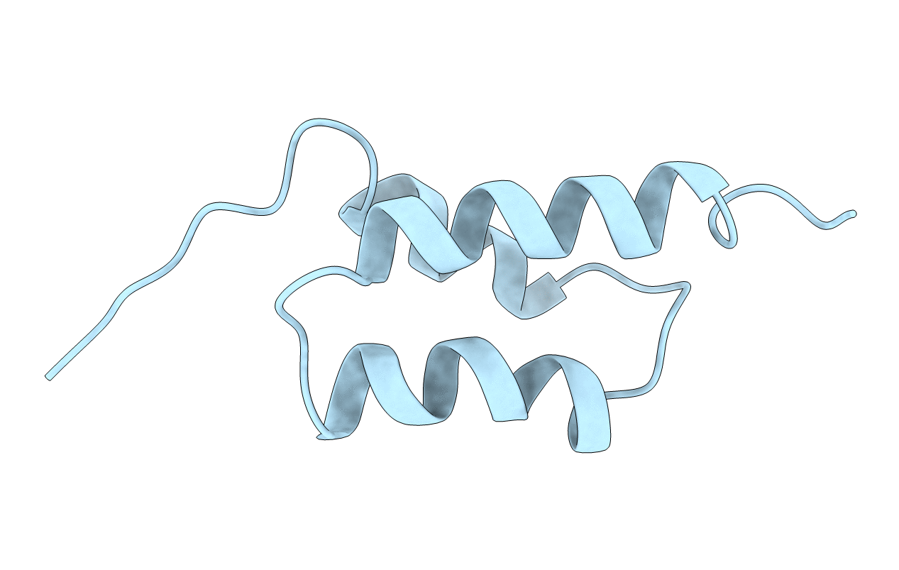 1BDD image