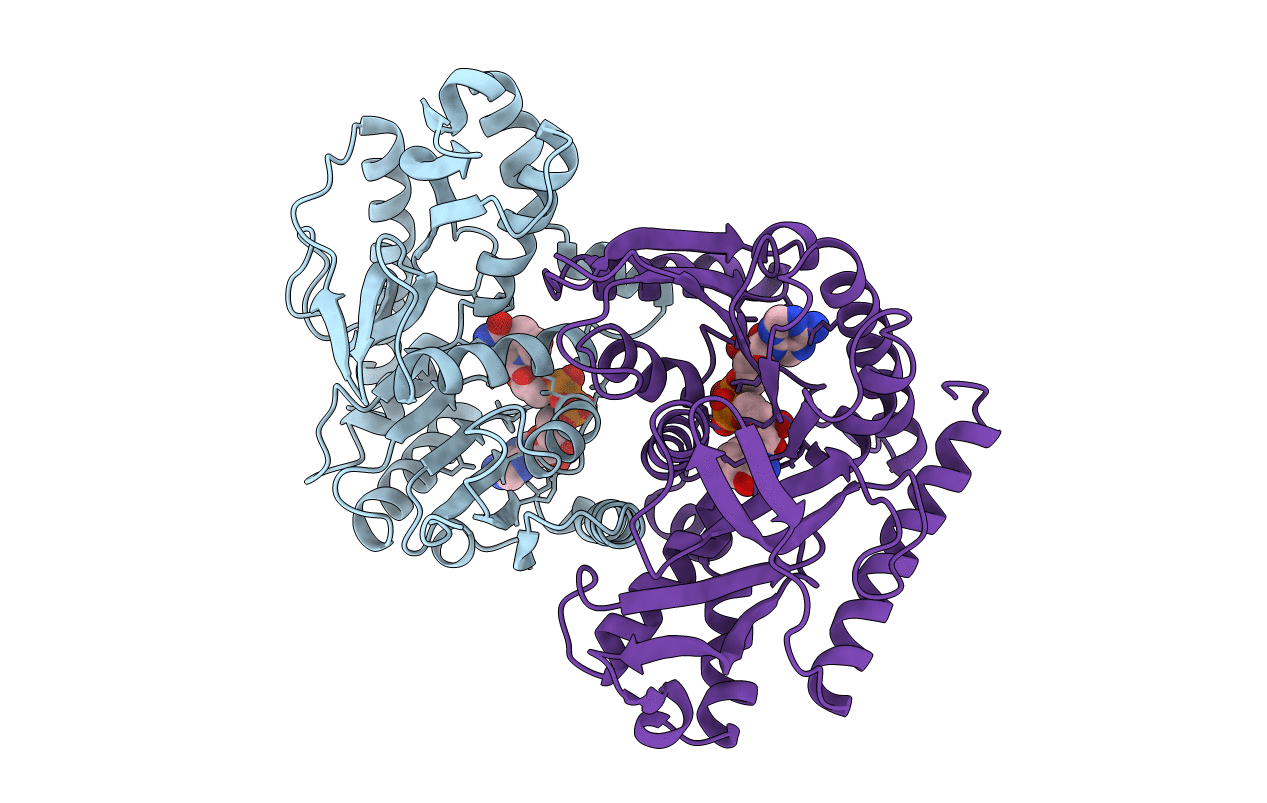 1BDM image
