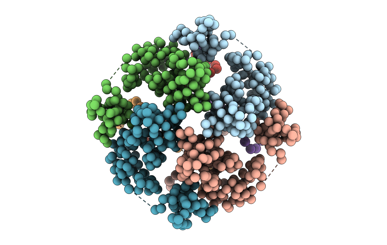 1BDX image