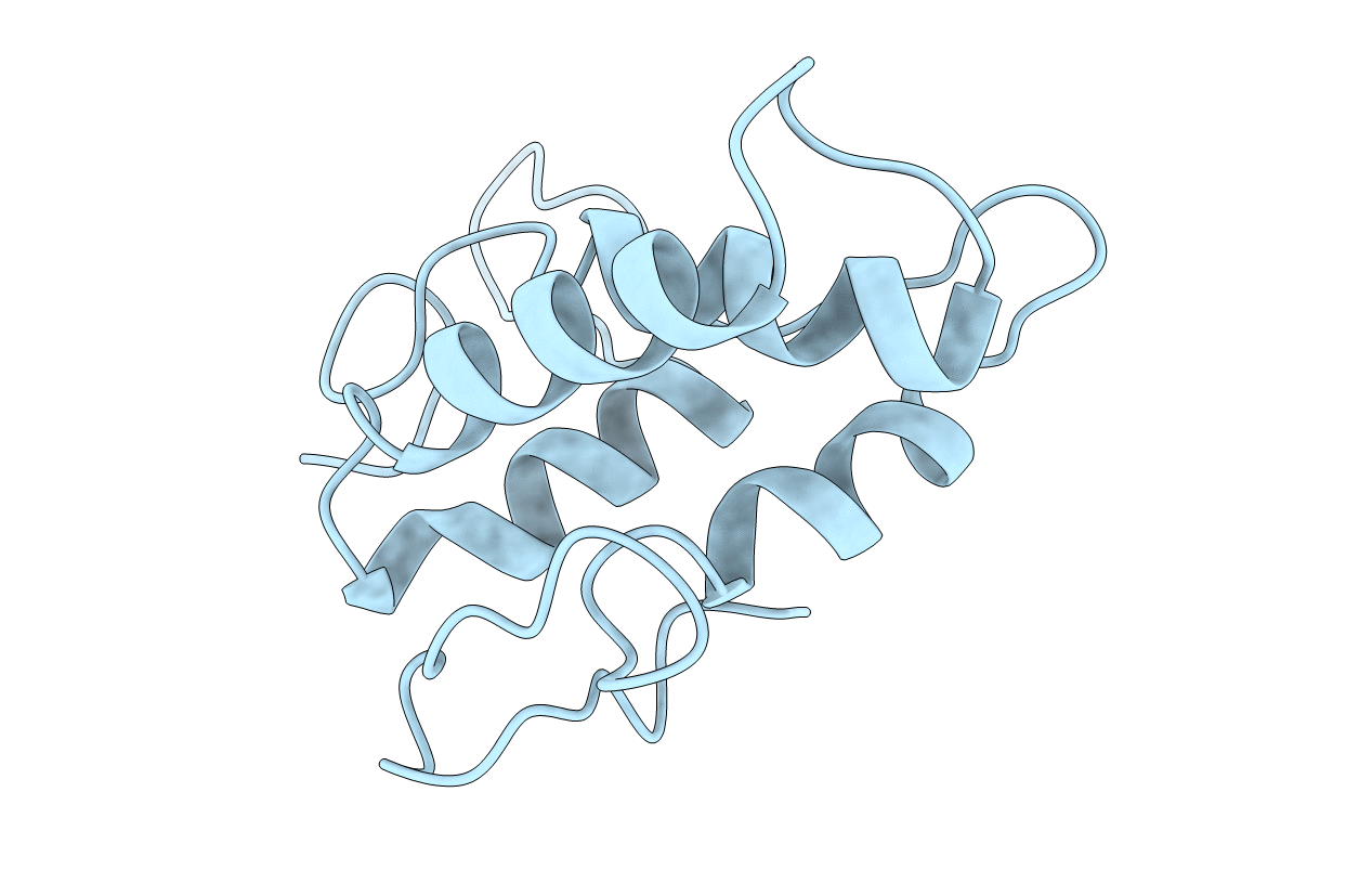 1BEA image