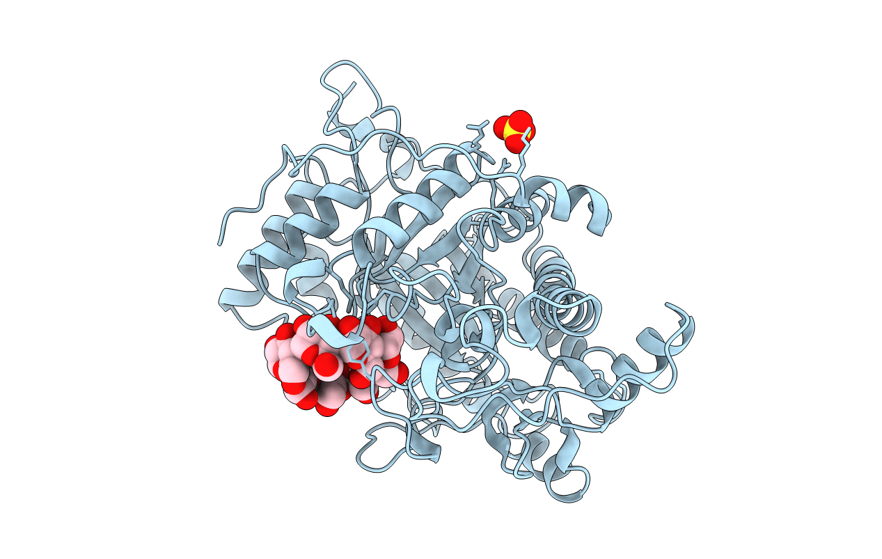 1BFN image