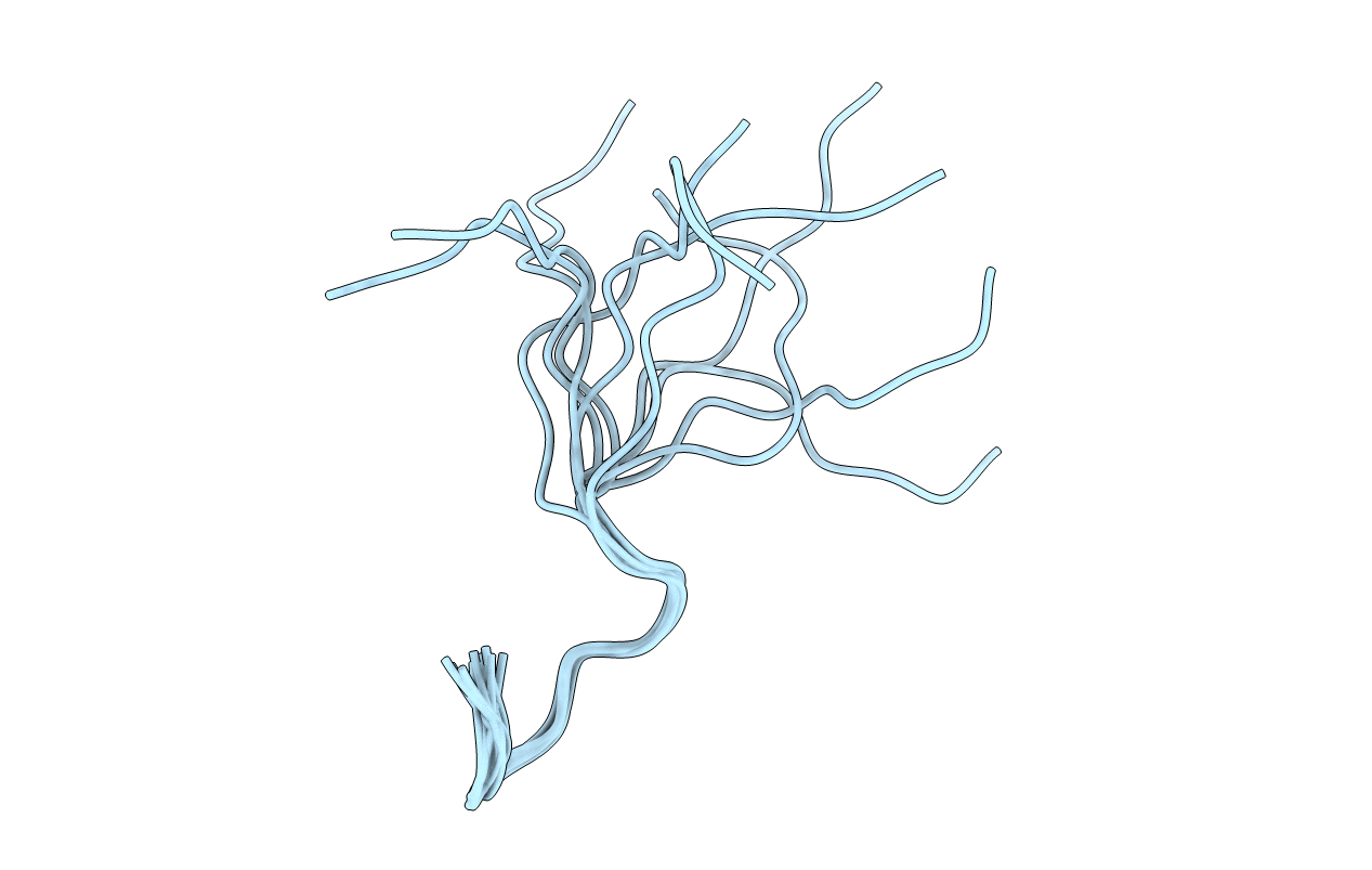 1BFW image