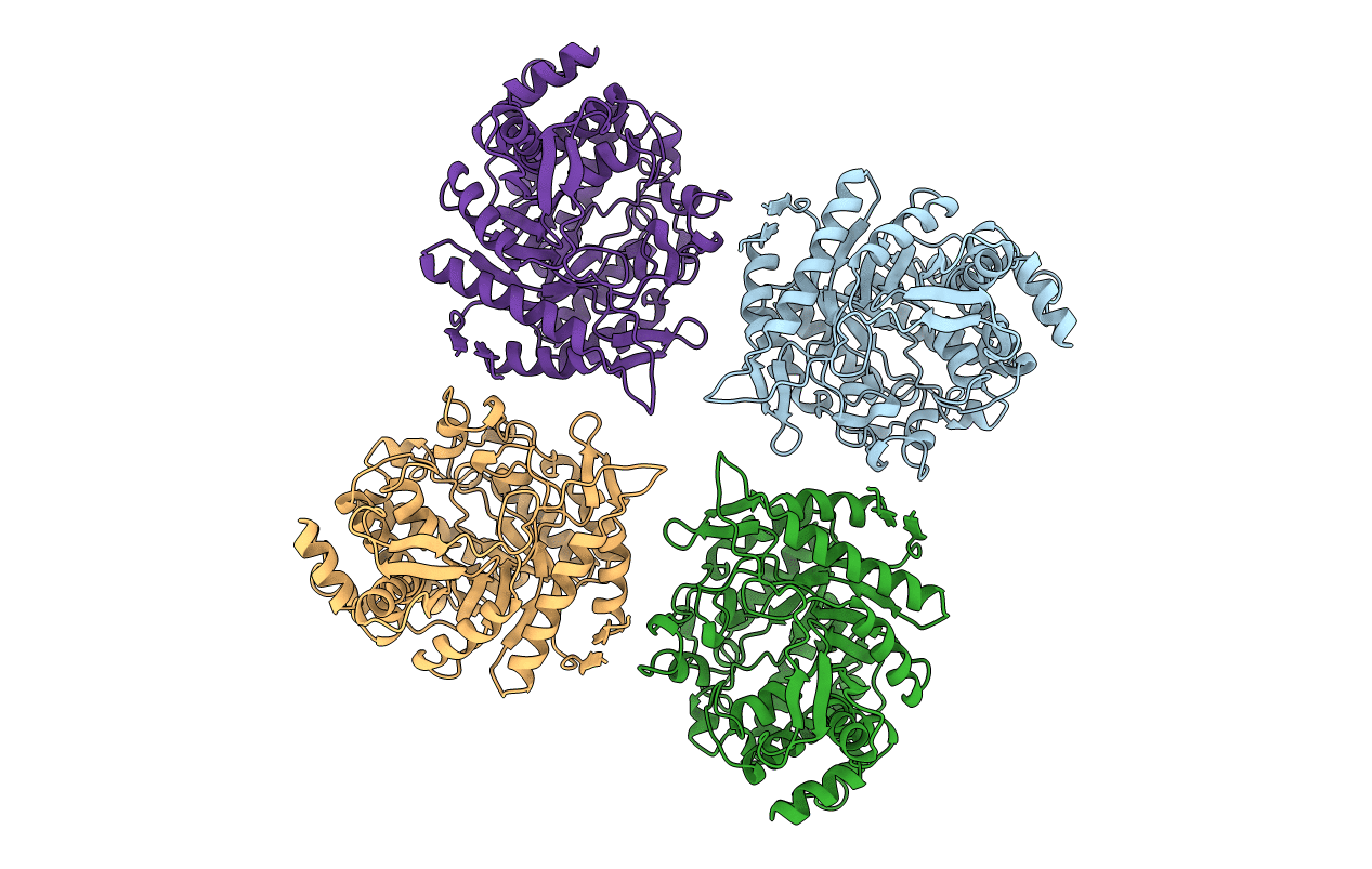 1BGA image