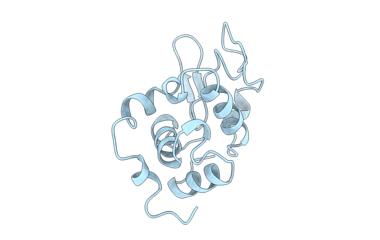 1BGI image
