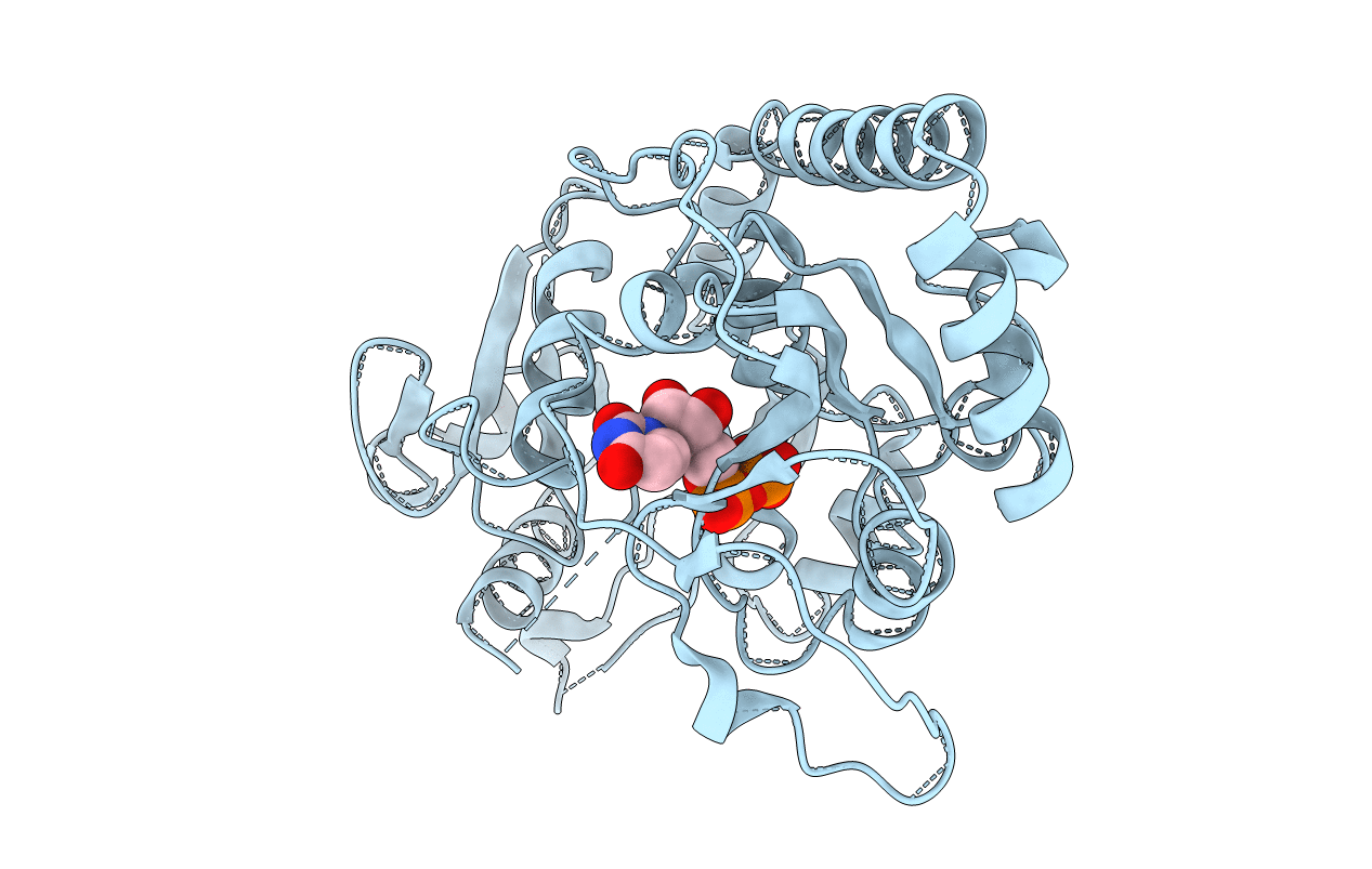 1BGU image