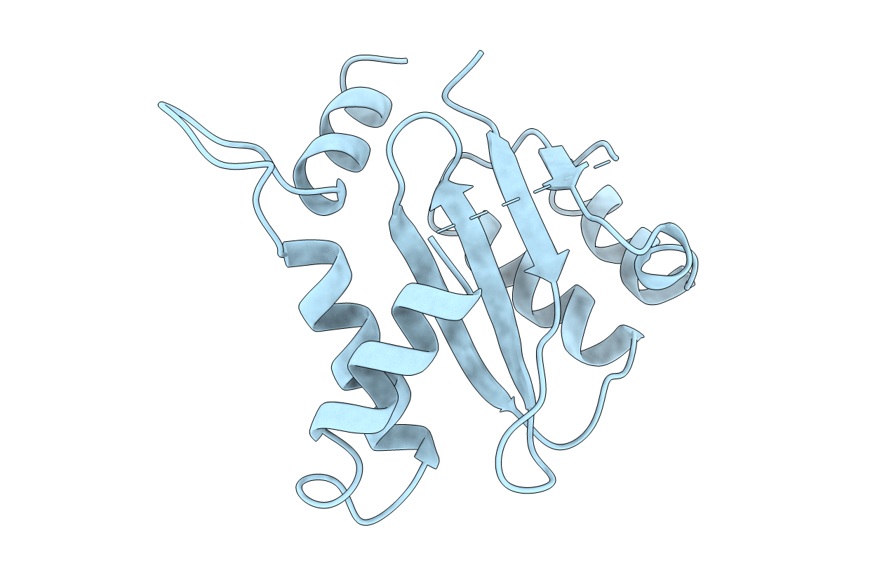 1BHL image