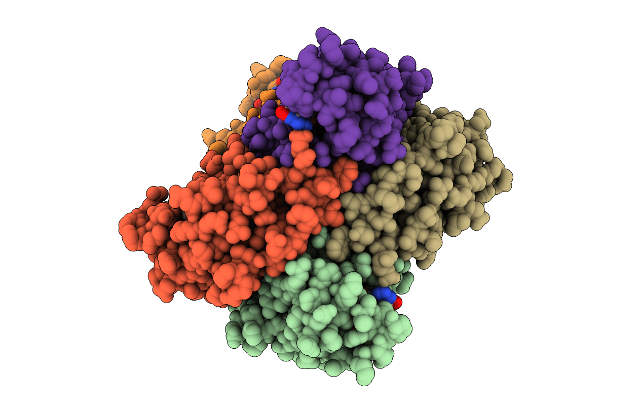 1BHN image