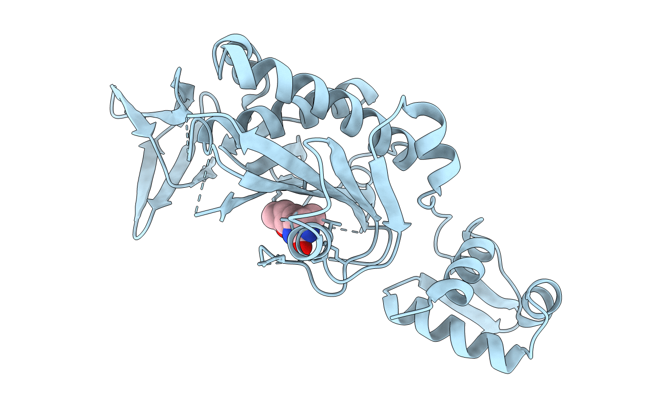 1BIB image