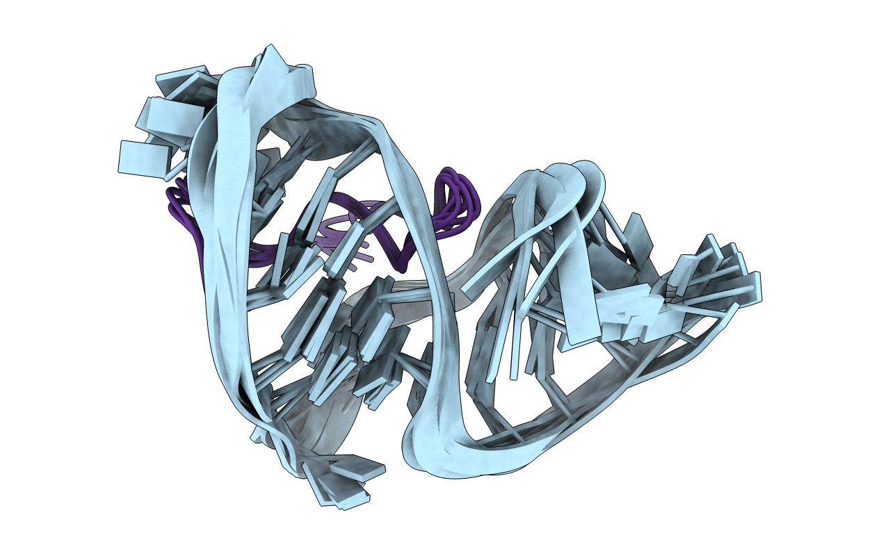 1BIV image