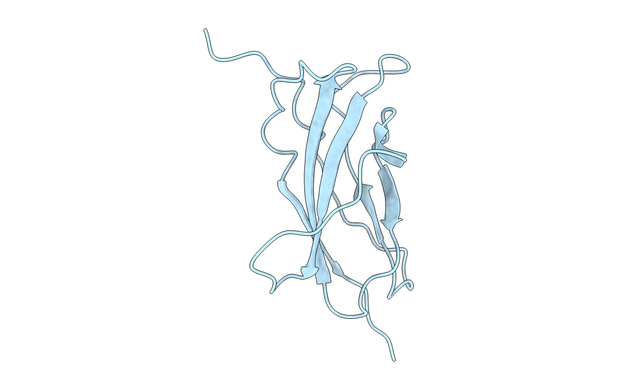 1BJ8 image