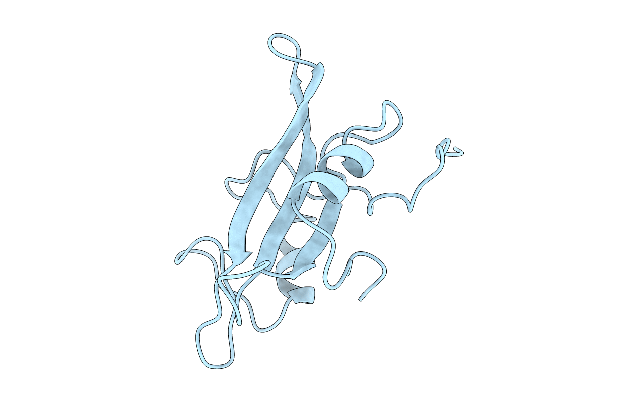 1BKL image