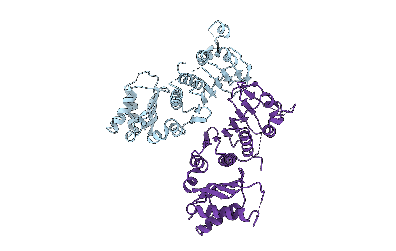 1bkn image