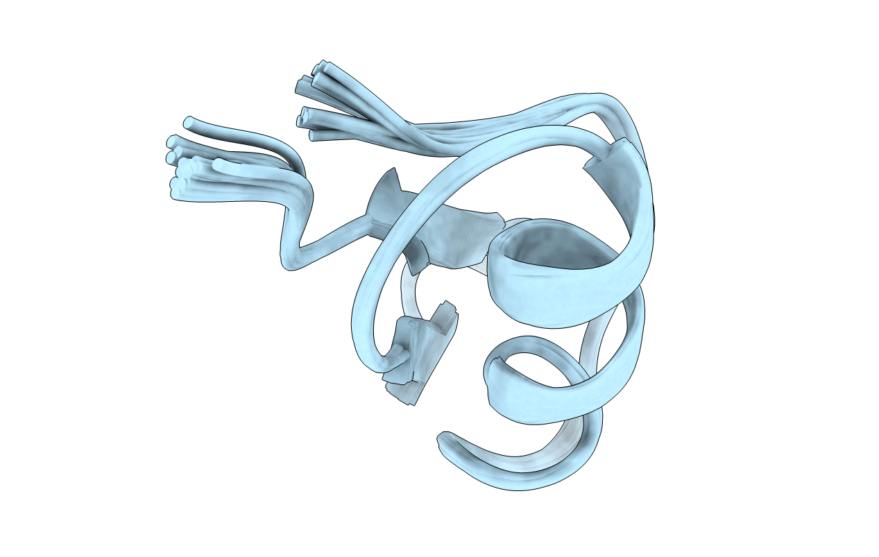 1BKT image