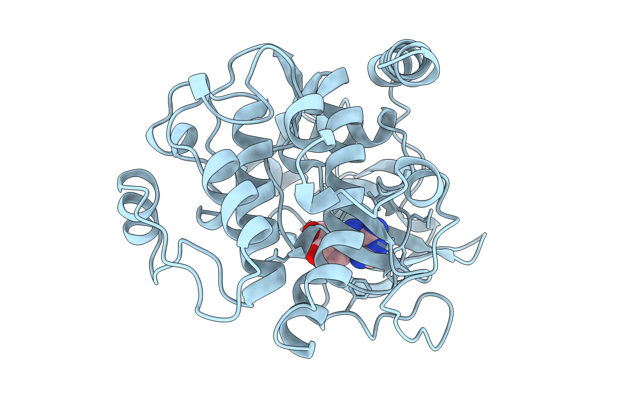 1BKX image