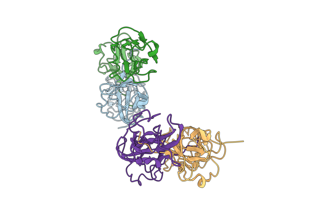 1BLB image