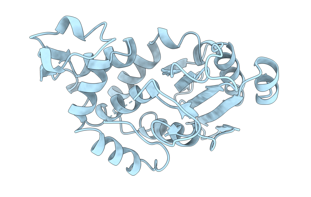 1BLP image