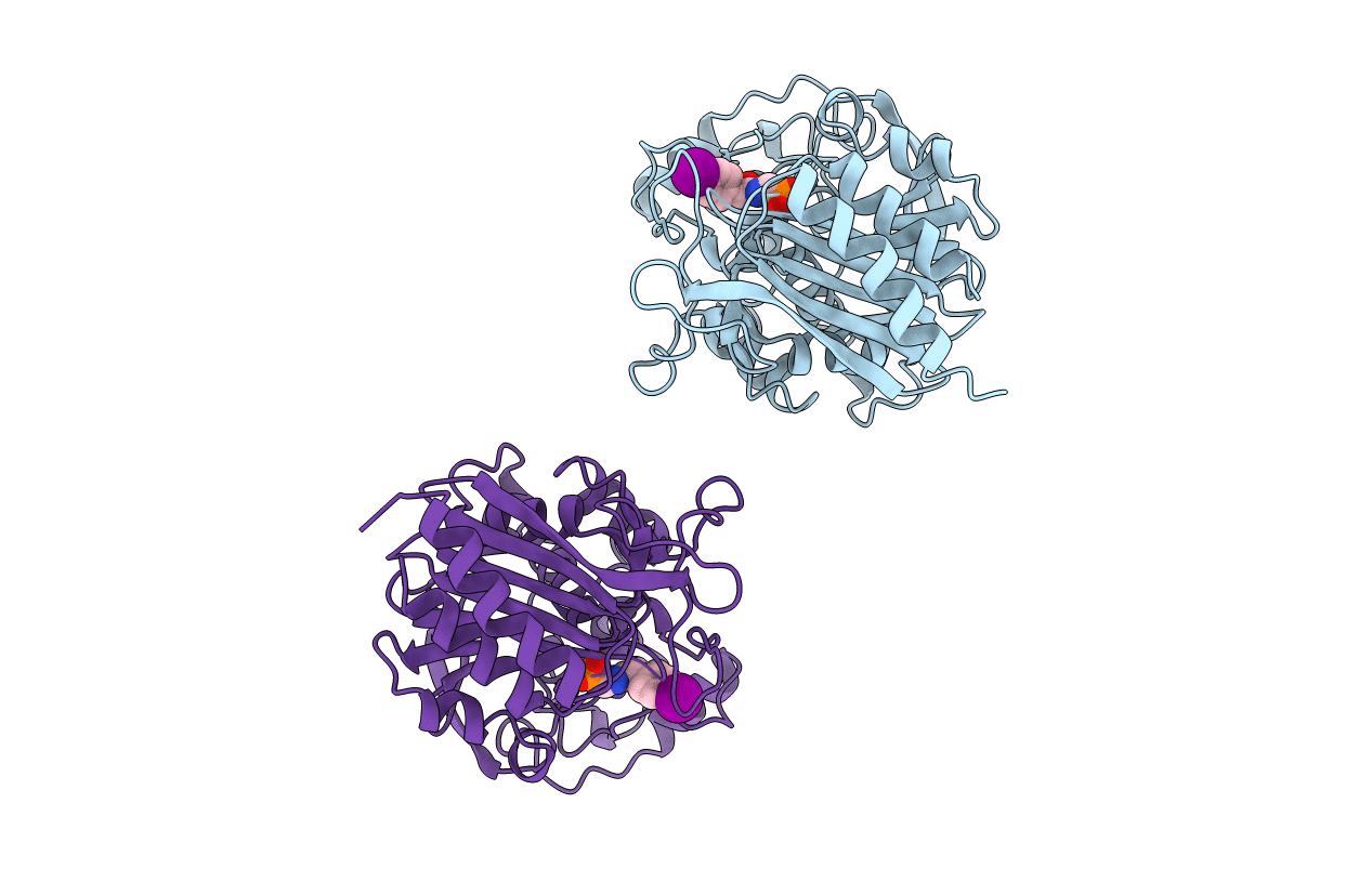 1BLS image