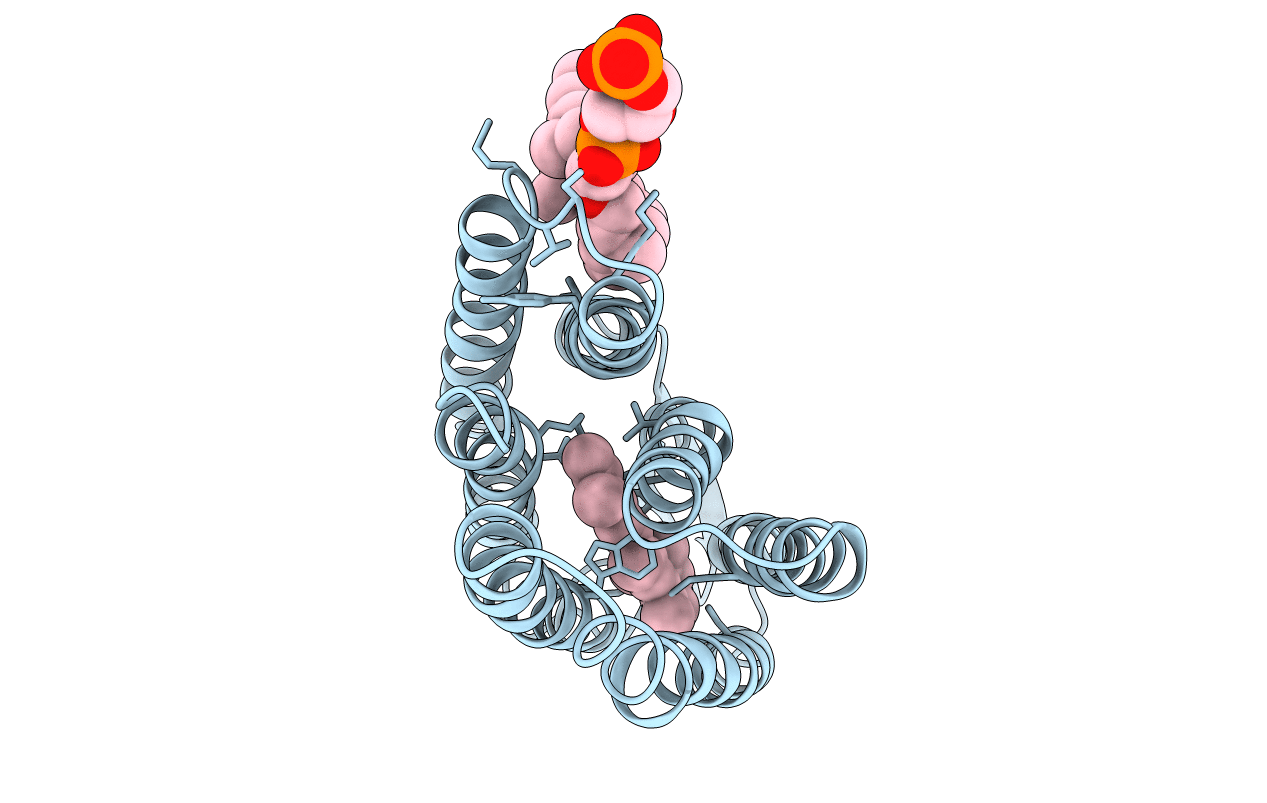 1BM1 image