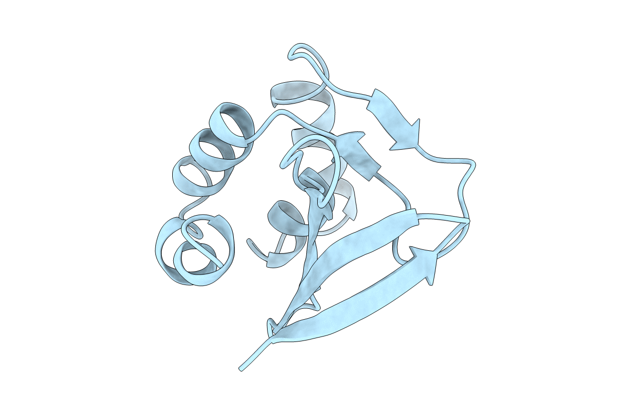 1BM8 image
