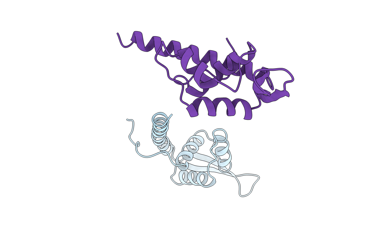 1bm9 image