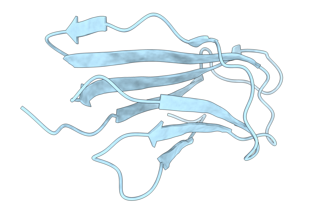 1BMG image
