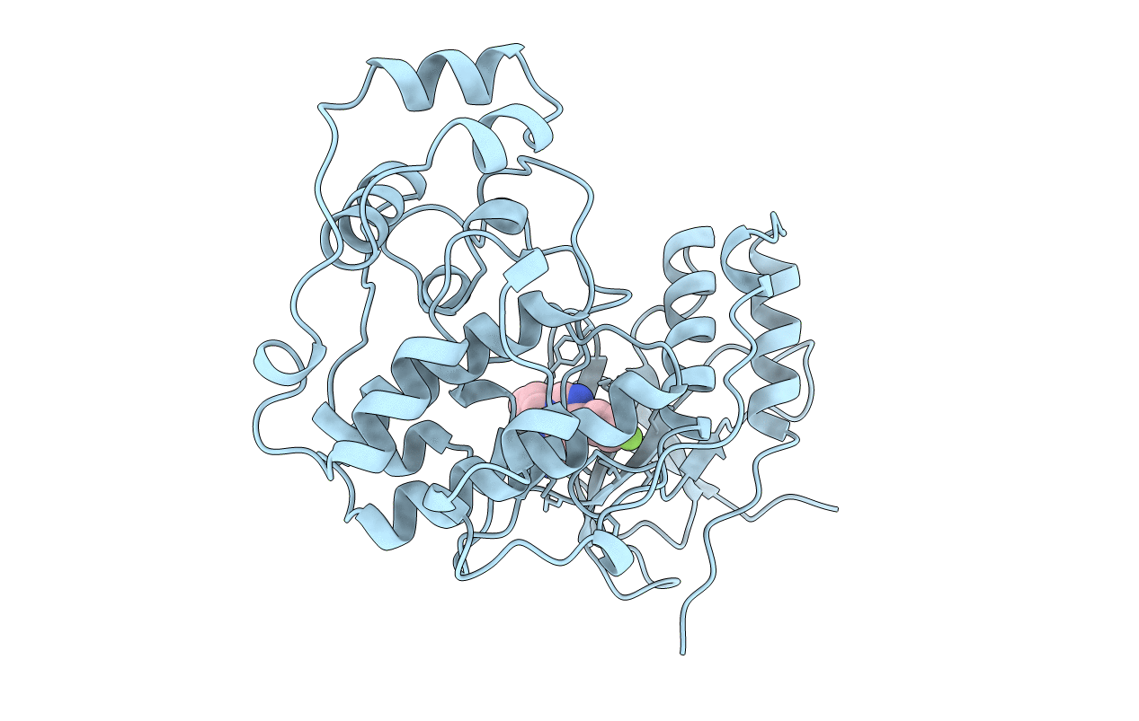 1BMK image