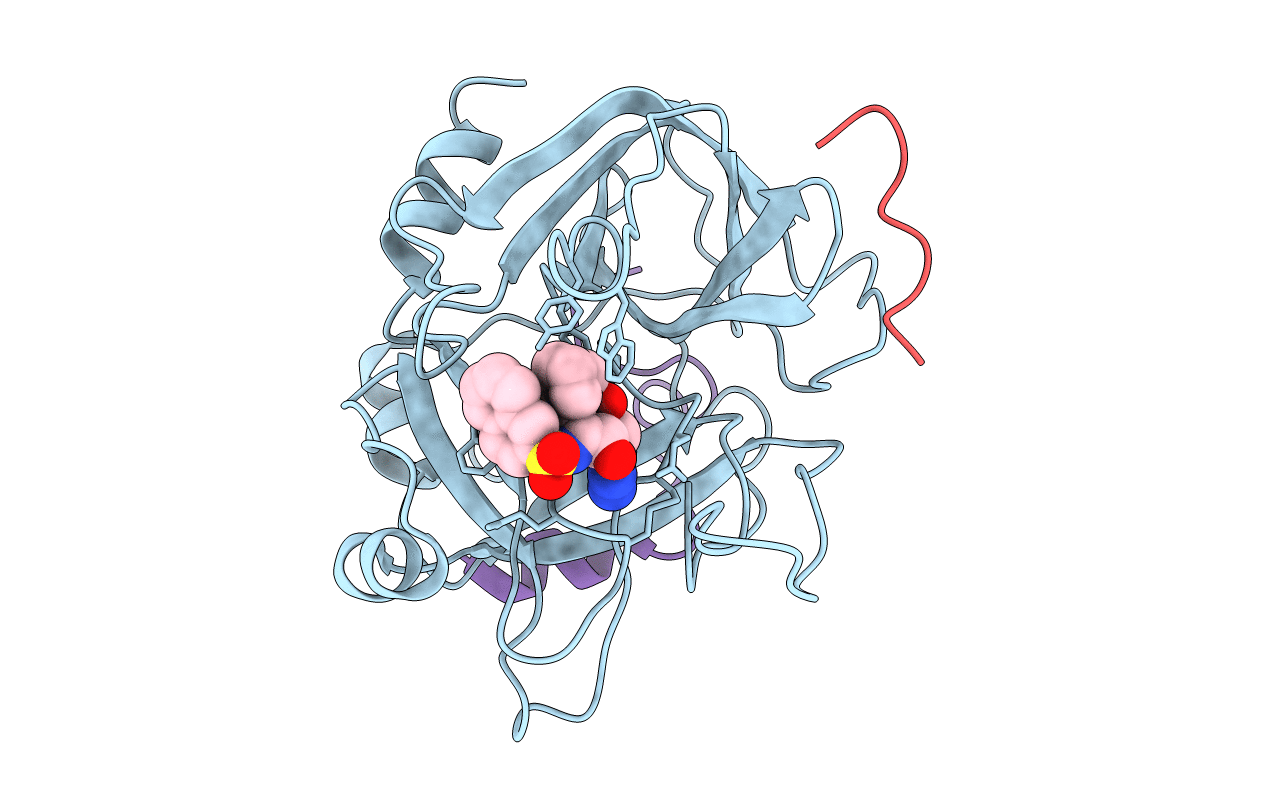 1BMN image