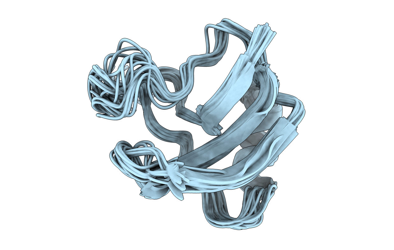 1BMR image