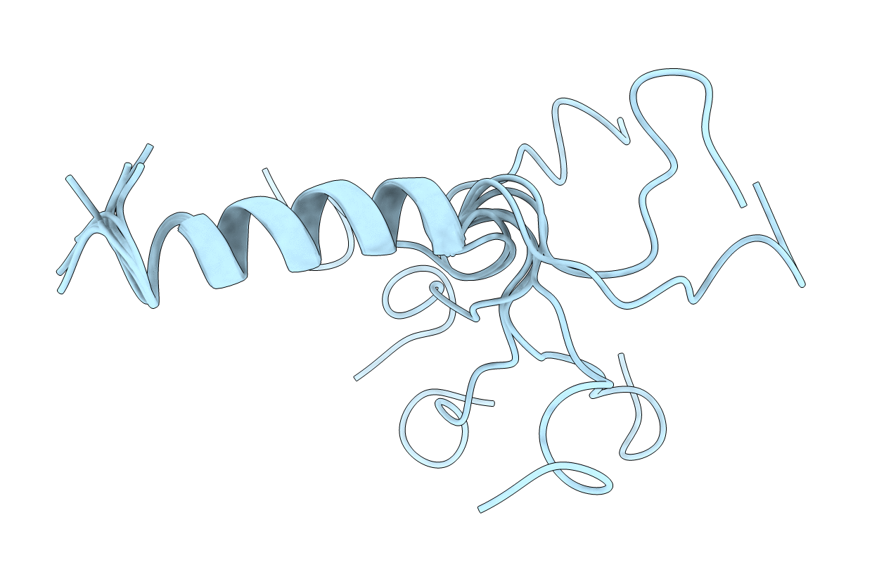 1BMX image