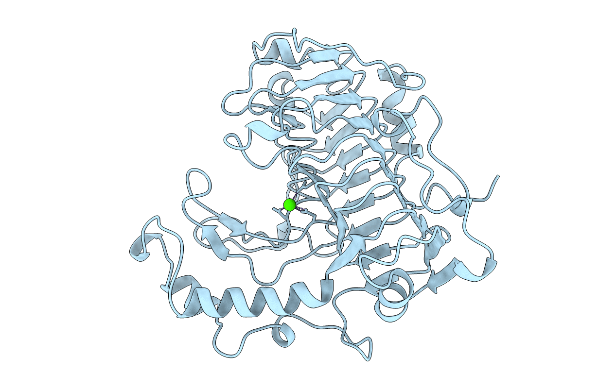 1BN8 image
