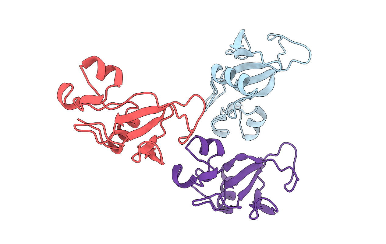 1BNI image