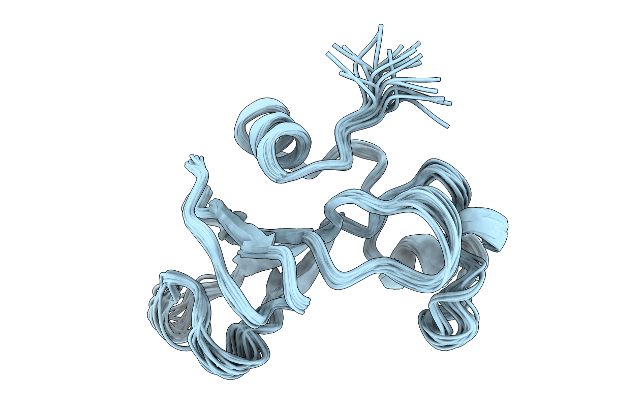 1BNR image