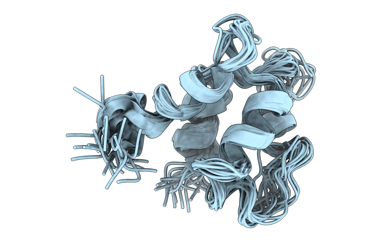 1BOD image