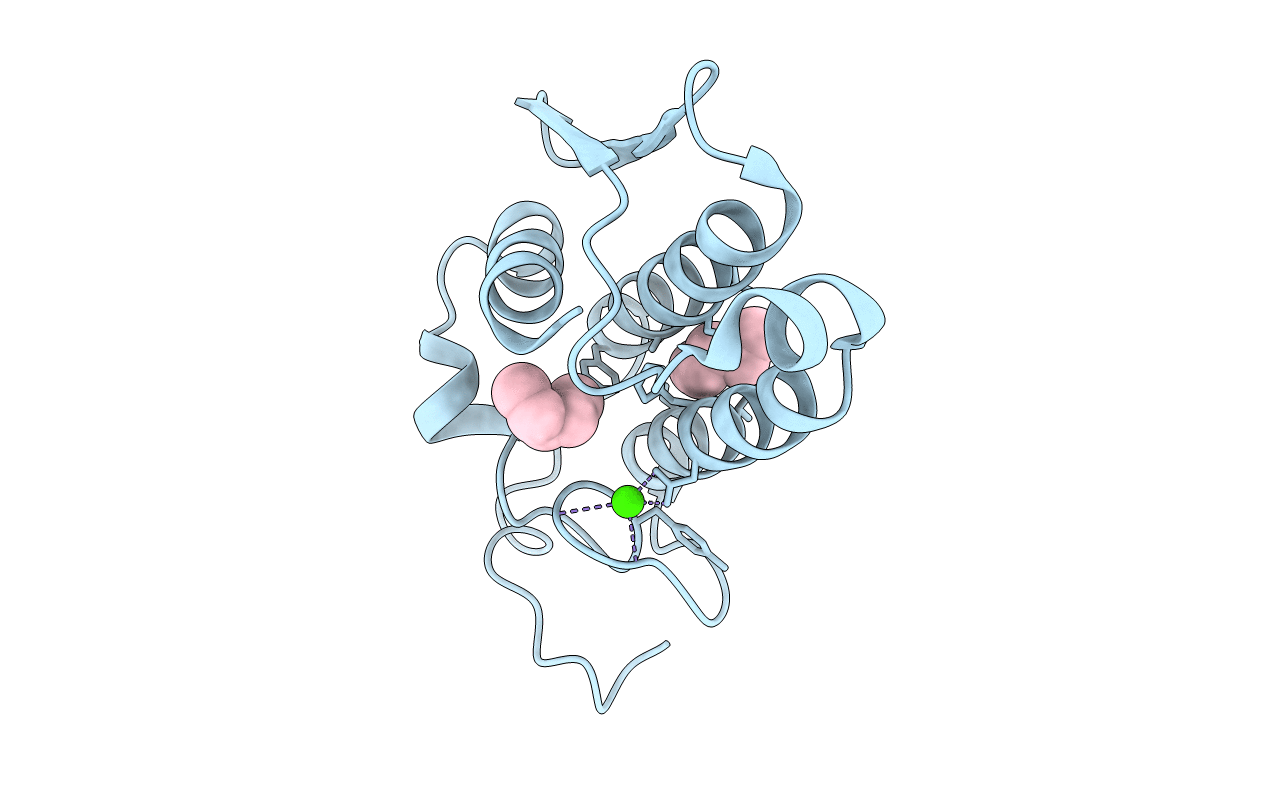 1BP2 image