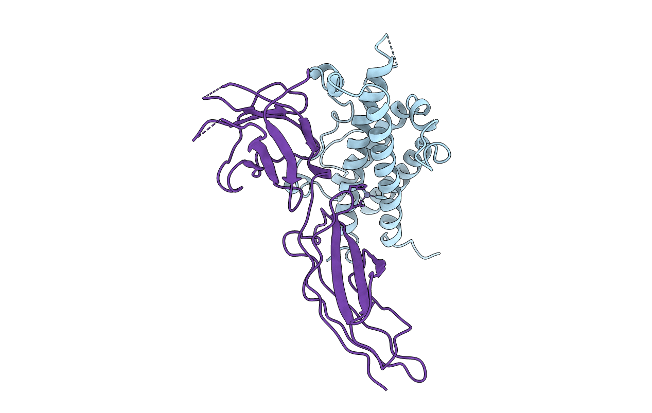 1BP3 image