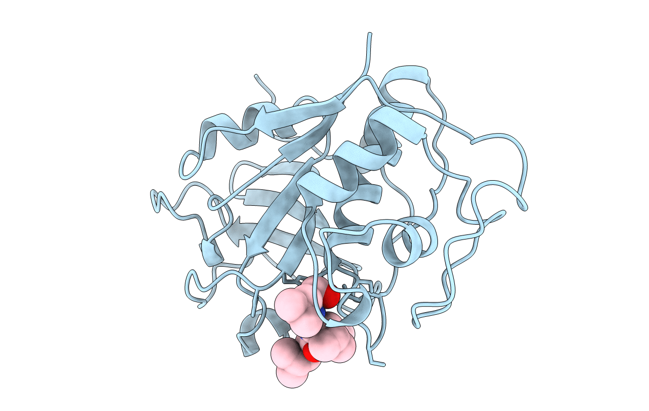 1BP4 image