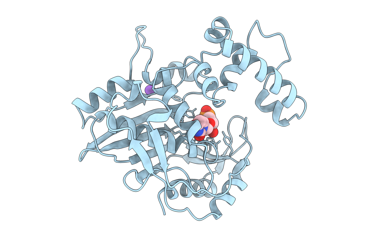 1BP6 image