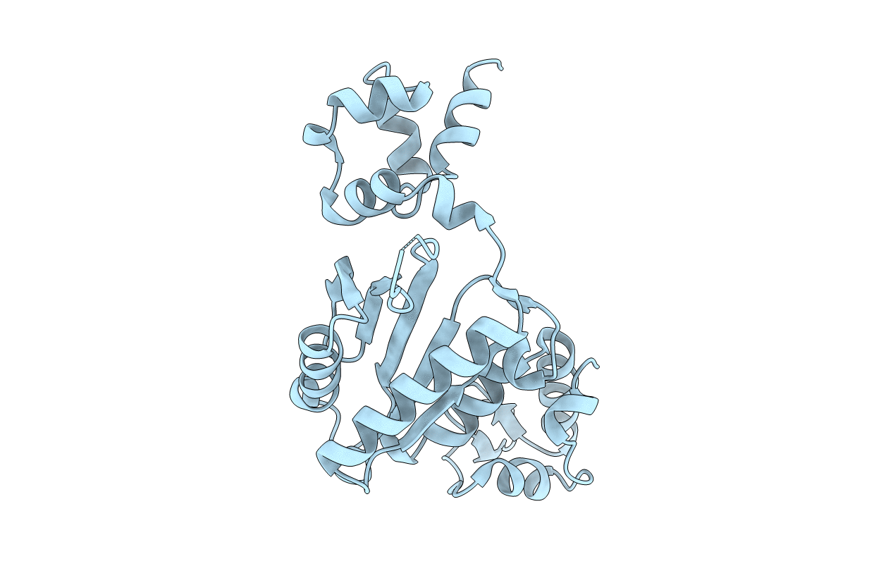 1BPB image