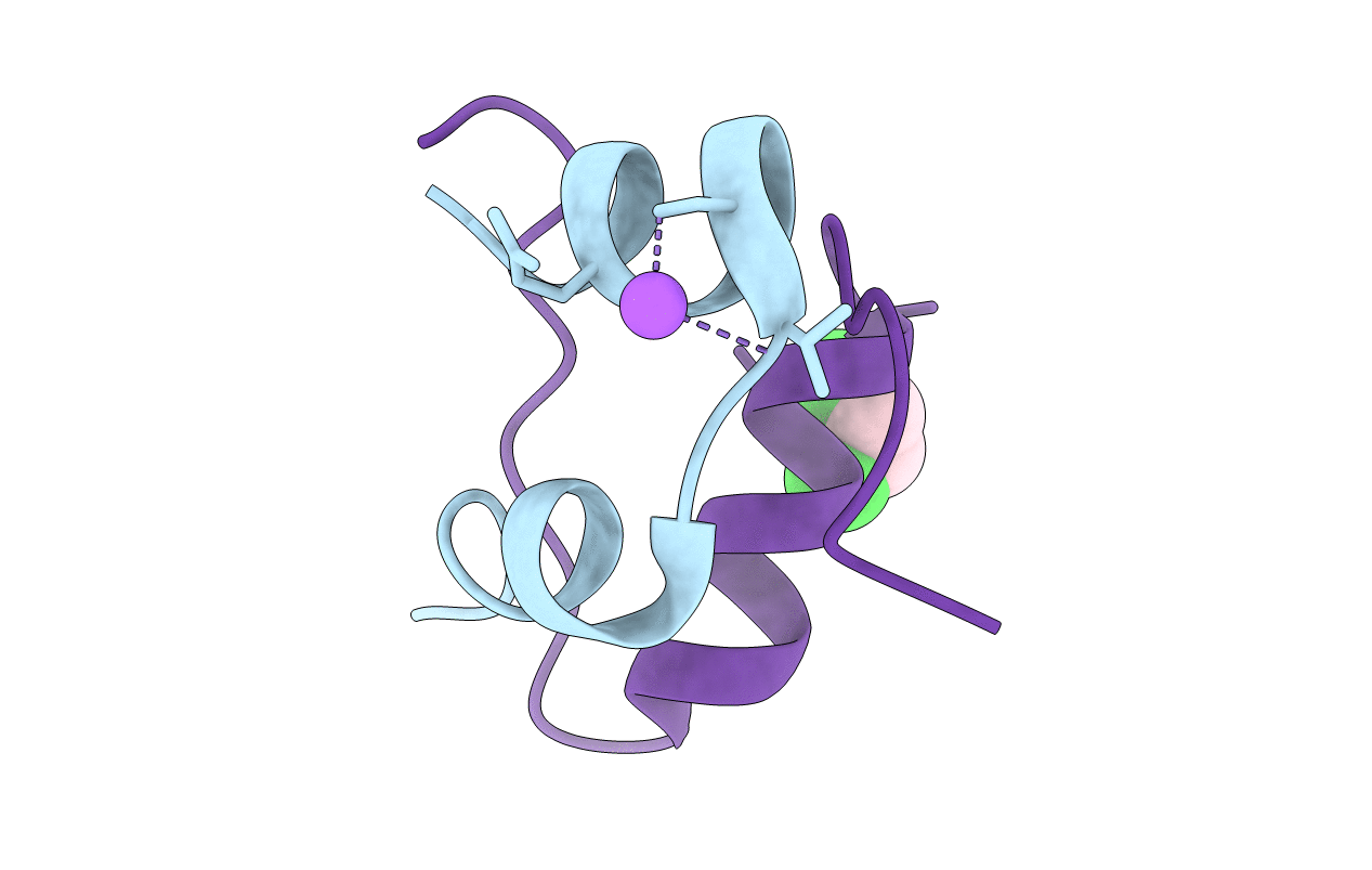 1BPH image