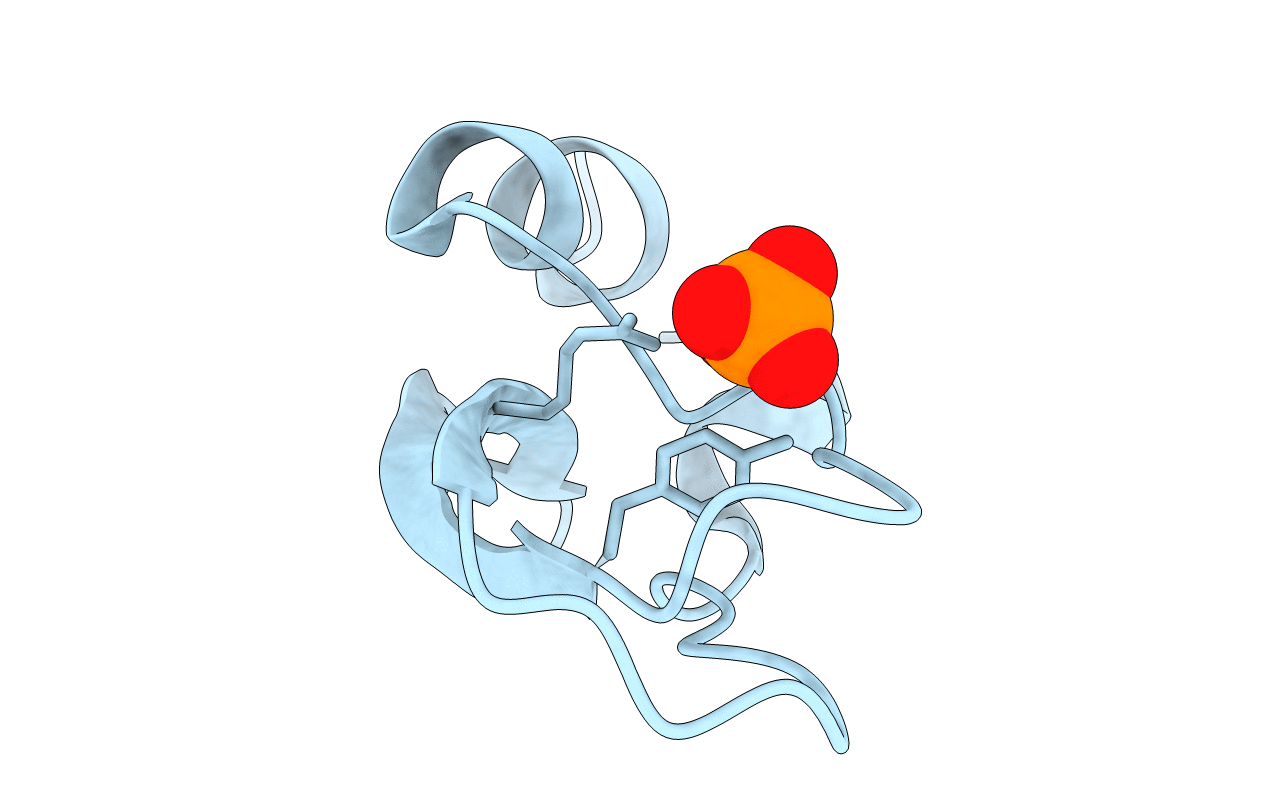 1BPI image