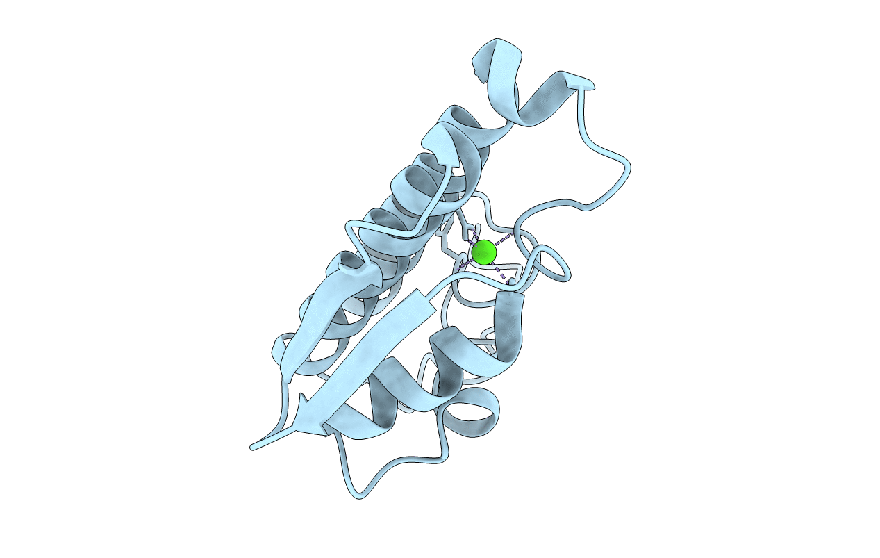 1BPQ image