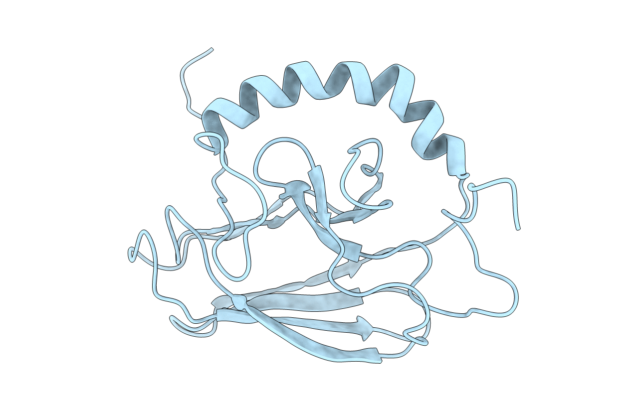 1BPR image
