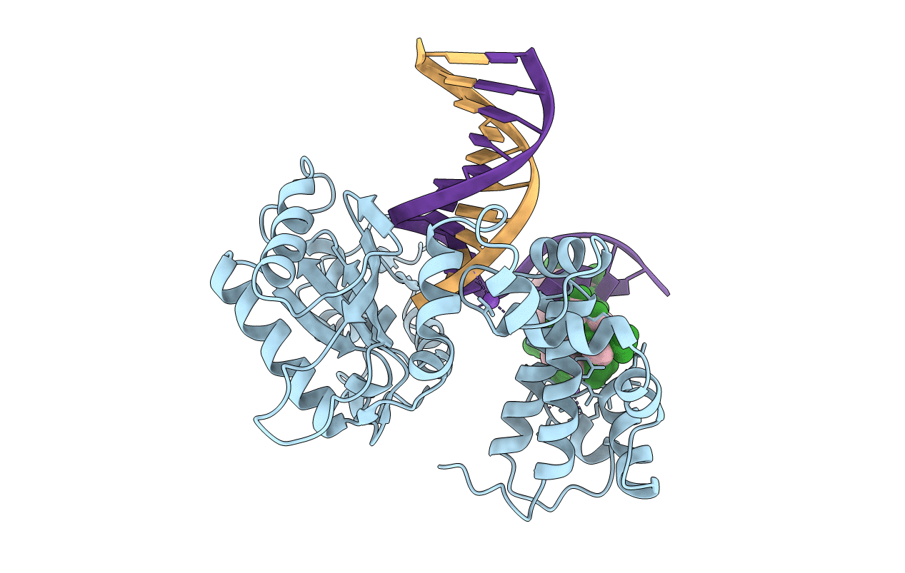1BPX image