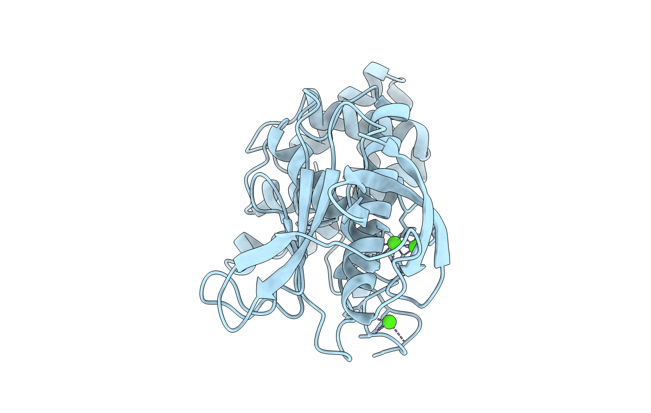 1BQB image