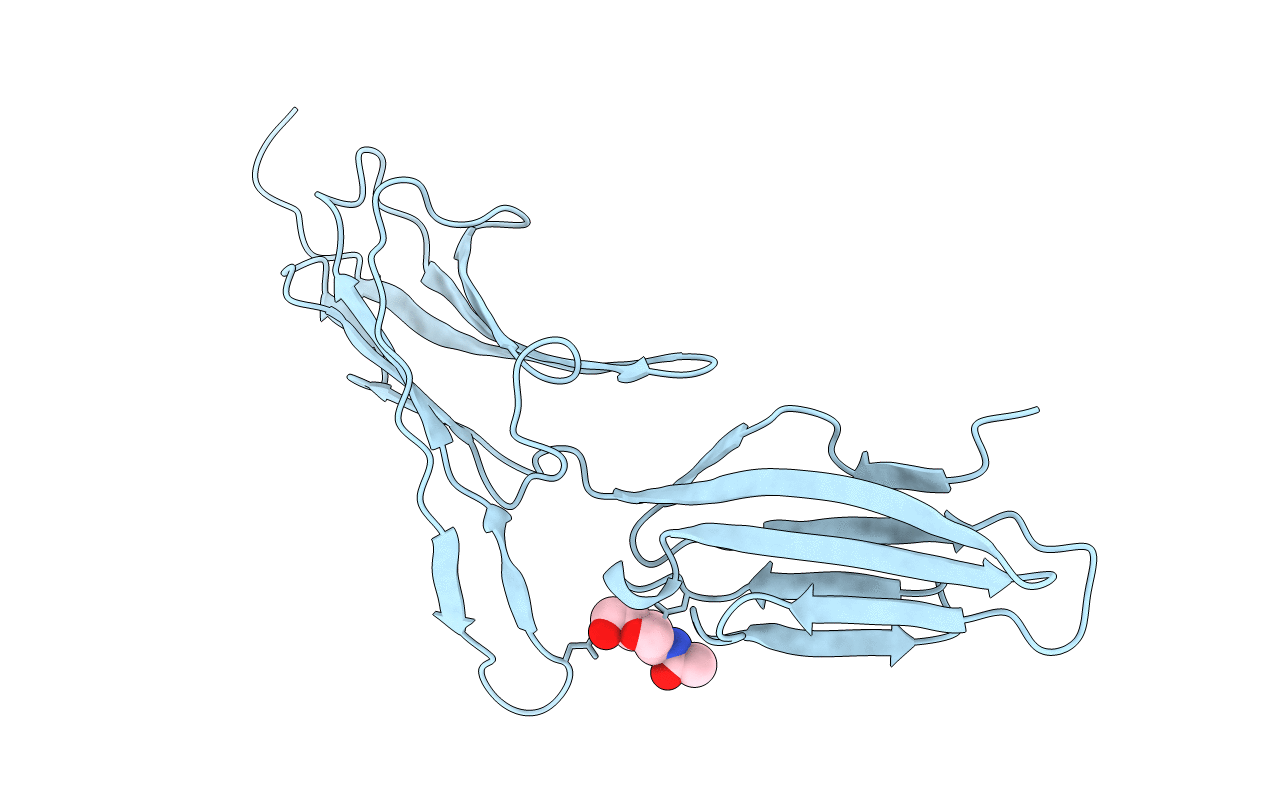 1BQS image
