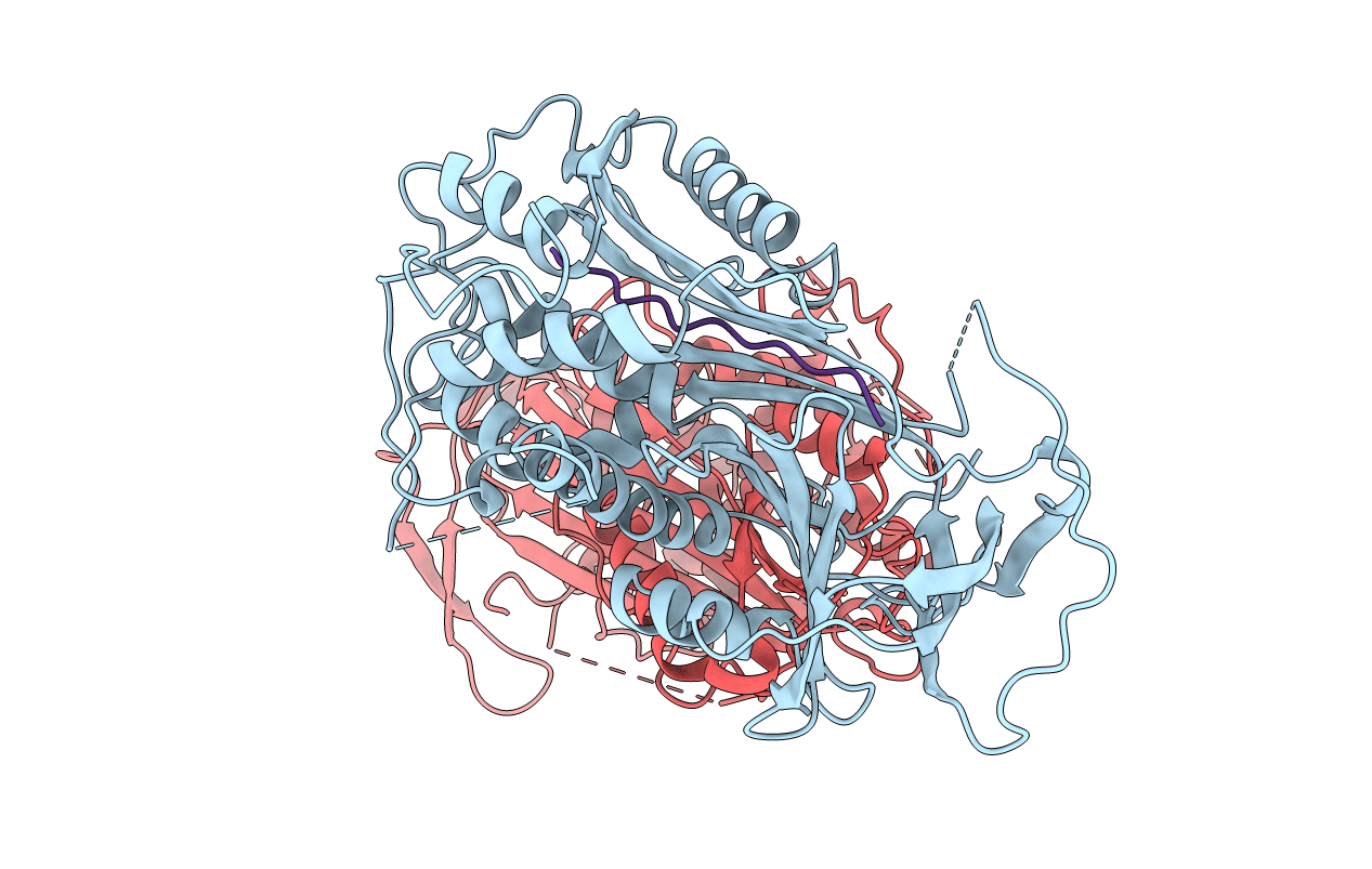 1BR8 image