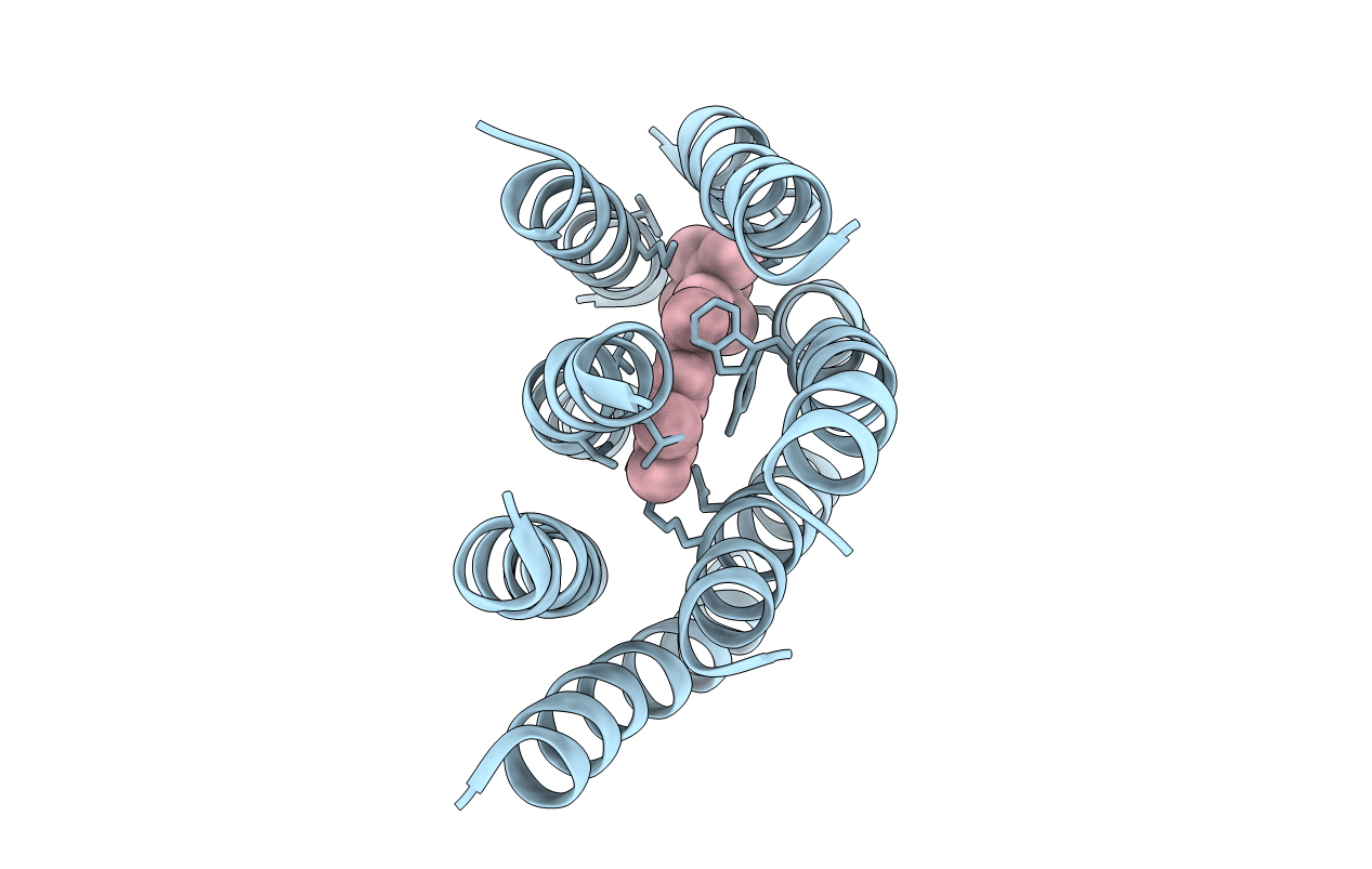 1BRD image