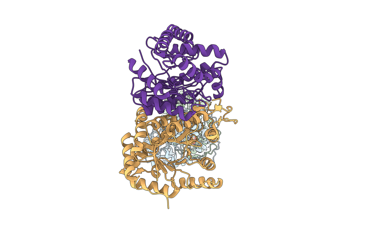 1BRL image