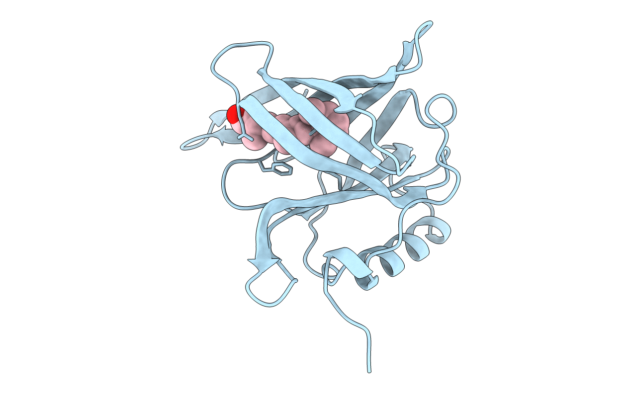 1BRP image