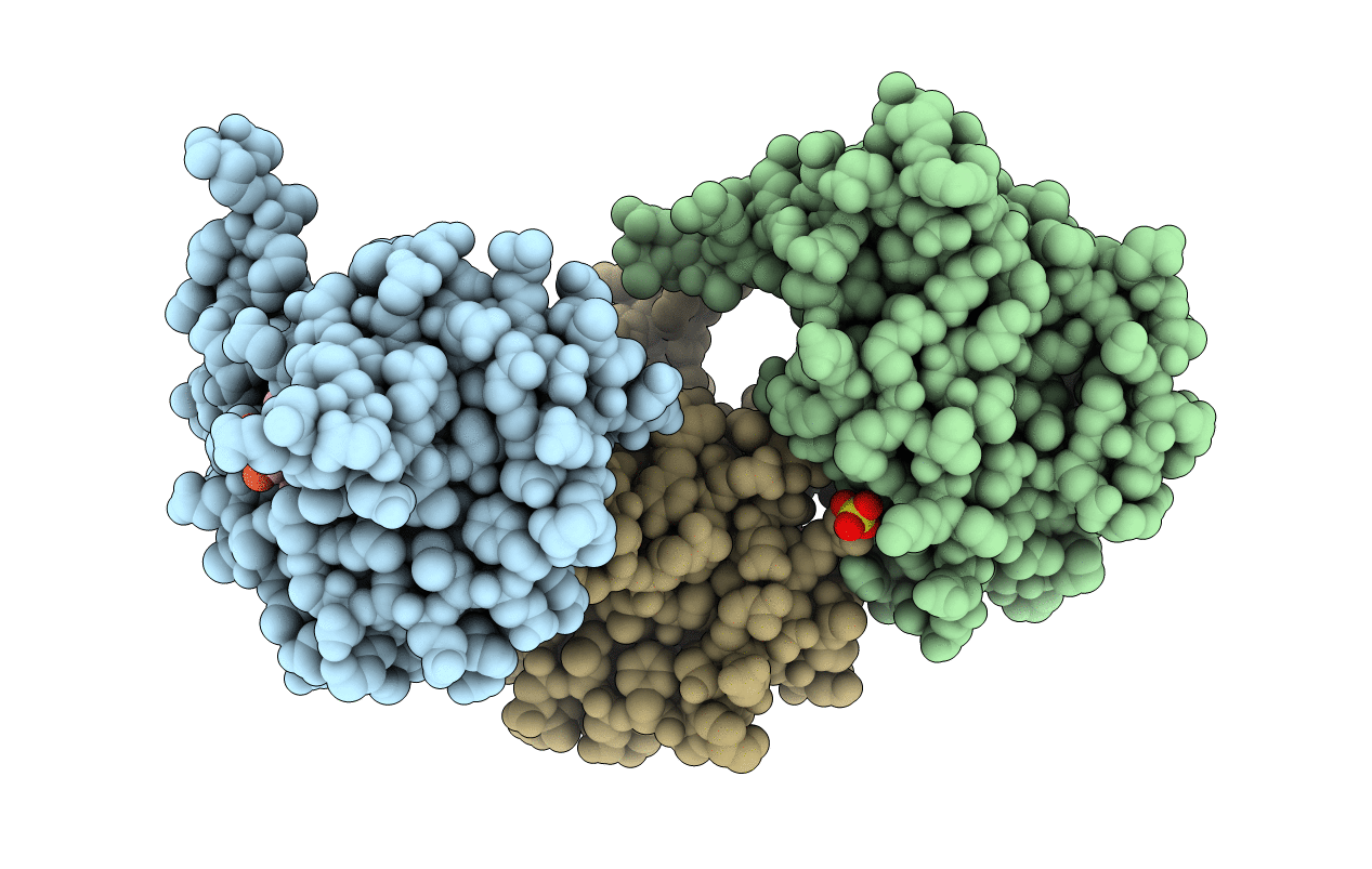 1BS8 image